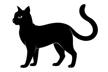 black and white cat silhouette, Cat vector illustration, cat head silhouette, animal silhouette isolated vector Illustration, png,  Cat icon