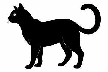 black and white cat silhouette, Cat vector illustration, cat head silhouette, animal silhouette isolated vector Illustration, png,  Cat icon