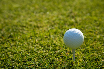 Closeup Golf ball on green grass on course