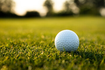 Closeup Golf ball on green grass on course, Sport and lifestyle