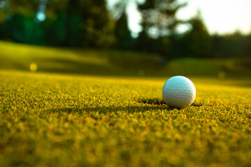 Closeup Golf ball on green grass on course
