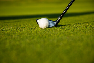 Closeup Golf ball on green grass on course, Sport and lifestyle