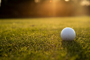 Golf course on a sunny day