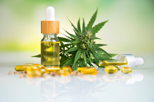 Cannabis leaf with hemp seeds and marijuana oil, cbd