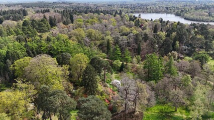 Virginia Water Windsor great park Surrey UK drone,aerial .