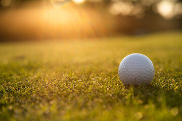 Golf course on a sunny day
