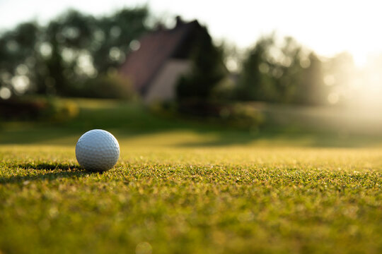 Closeup Golf ball on green grass on course, Sport and lifestyle
