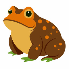 toad vector illustration