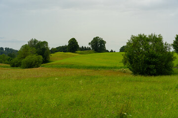 Sommer Wiese im Sommer mit grünen Wiesen und Wolken Himmel