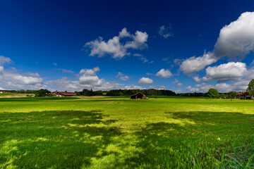 Sommer Wiese im Sommer mit grünen Wiesen und Wolken Himmel