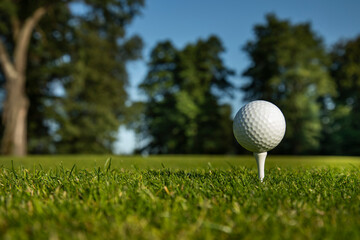 Closeup Golf ball on green grass on course