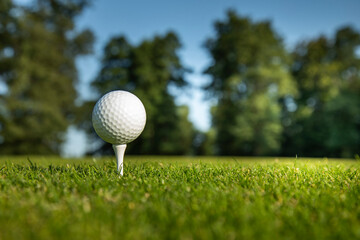 Golf ball on the golf course