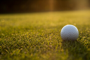 Golf course on a sunny day