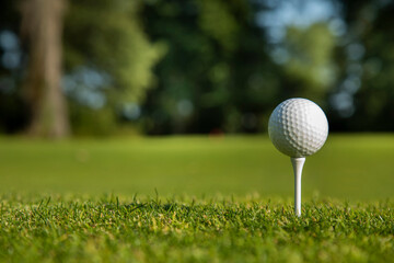 .Golf course with ball and grass