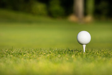 Closeup Golf ball on green grass on course