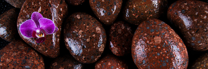 Spa stones and purple flowers, orchid