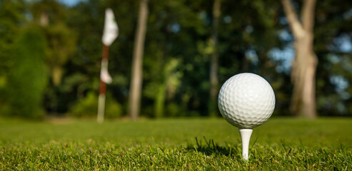 Golf ball in a club in the forest
