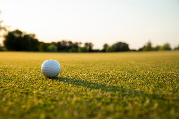 Golf course with ball and grass