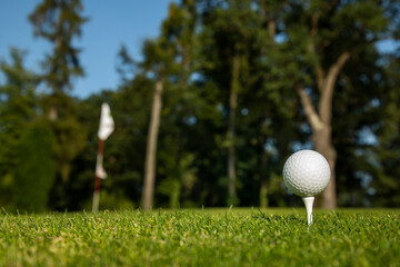 Golf ball on the golf course