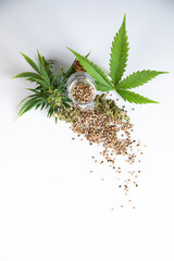 Cannabis oil and hemp oil bottle