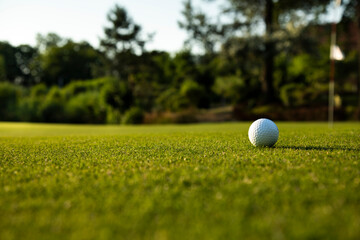 Closeup Golf ball on green grass on course