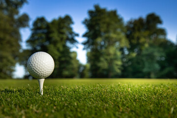Golf ball in a club in the forest