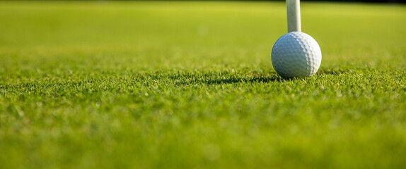 Closeup Golf ball on green grass on course
