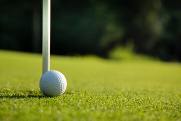 Closeup Golf ball on green grass on course