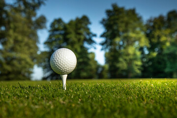 Golf ball in a club in the forest
