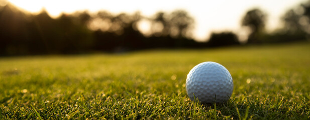 Closeup Golf ball on green grass on course, Sport and lifestyle