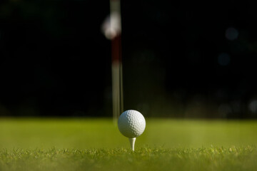 Golf ball on the golf course