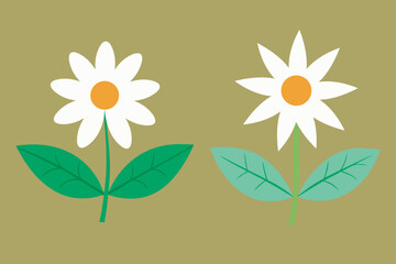 Beautiful Color Flower Vector Illustration.