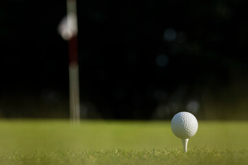 Golf ball on the golf course