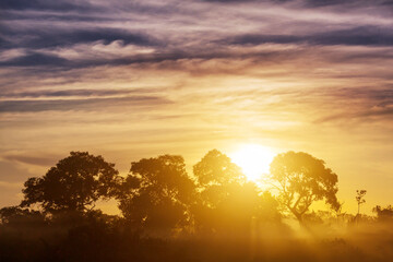 Rural landscapes in Brazil