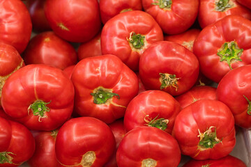 Lots of red ripe tomatoes on the counter in the market. Food photography template.