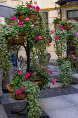 Fototapeta premium Floral decor on a city street