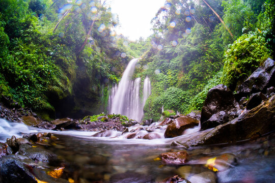 waterfall in the forest
