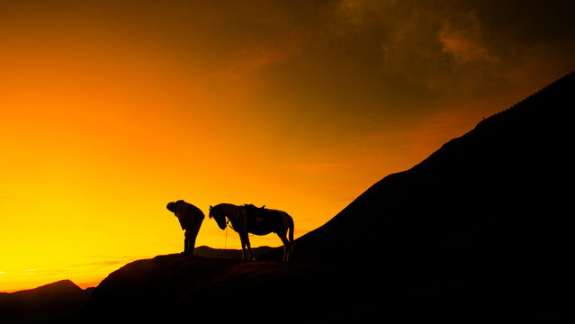 silhouette of a horse in the desert