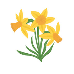 Hand drawn of wild flowers, garden flowers isolated on white background. Yellow botanical flowers.