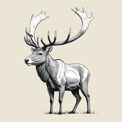  Majestic Deer Illustration