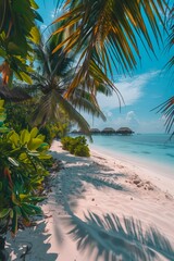 Tropical sandy beach. Pacific ocean resort scene. Landscape view. Copy scene. Palm trees