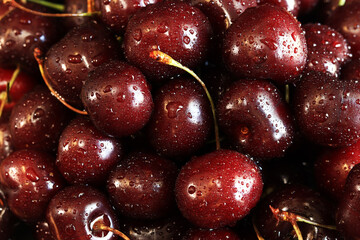 Cherry berries close-up. Wet sweet ripe cherries. Background. Dark red cherries with green stems covered with fine splashes of water. Summer berries, vitamins. Close-up of red berries