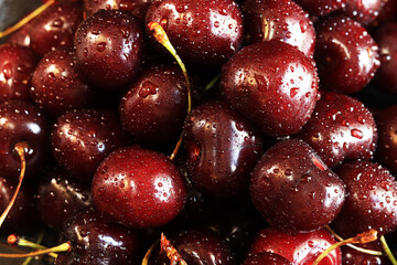 Cherry berries close-up. Wet sweet ripe cherries. Background. Dark red cherries with green stems covered with fine splashes of water. Summer berries, vitamins. Close-up of red berries