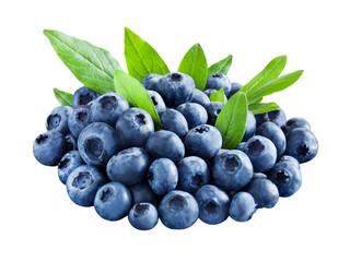 Frische Blaubeeren und Hintergrund transparent PNG cut out   Blueberries