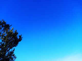 Obraz premium View nature of blue clouds and mountains with dense shady trees. View of blue clouds mountains. 