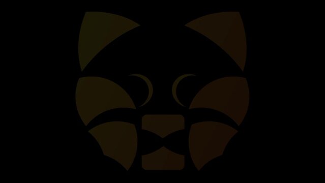 black and white cat face
