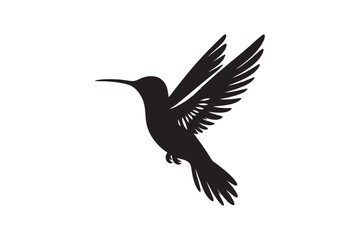 Hummingbird vector art illustration