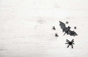 Halloween frame with decorations bat, fly and spider on the white wooden background