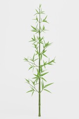Fototapeta premium Realistic 3D Render of Bamboo Plant