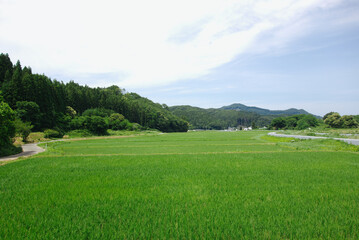 里山の田園風景